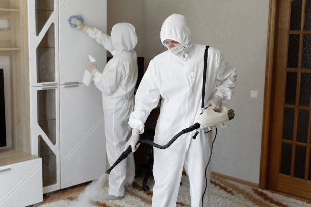 Best Asbestos and Lead Testing During Mold Inspection  in Fisher, IL